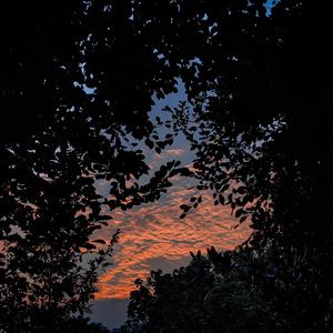 Moms丰满无码XXXXHD
